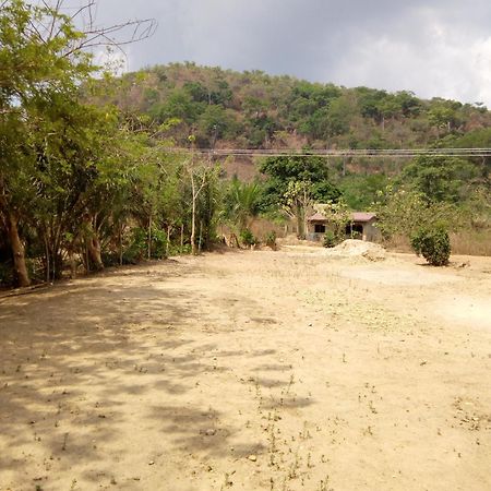 Wli Waterfalls Inn Wli Afegame Esterno foto