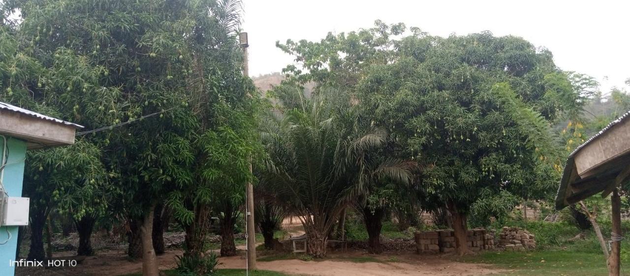 Wli Waterfalls Inn Wli Afegame Esterno foto