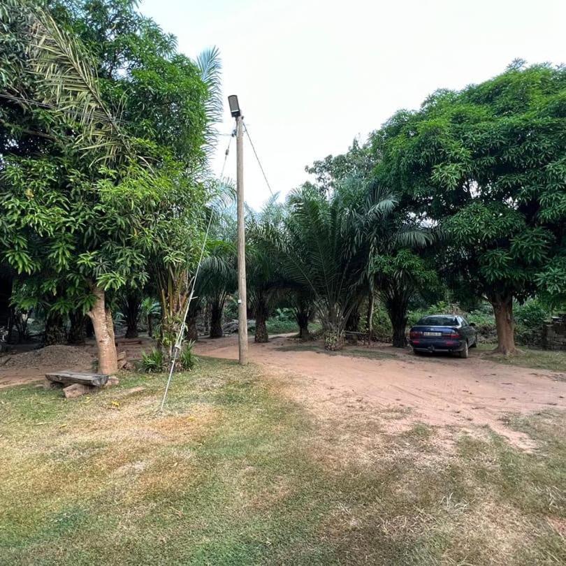 Wli Waterfalls Inn Wli Afegame Esterno foto