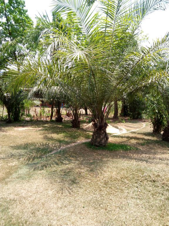 Wli Waterfalls Inn Wli Afegame Esterno foto