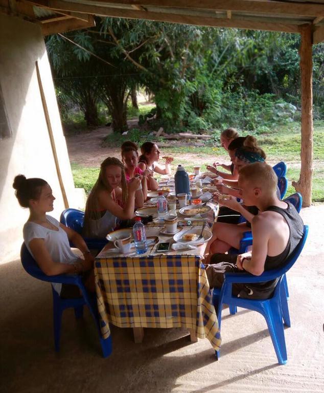 Wli Waterfalls Inn Wli Afegame Esterno foto