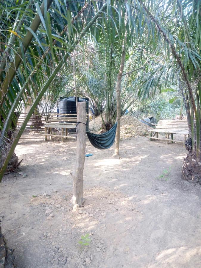 Wli Waterfalls Inn Wli Afegame Esterno foto